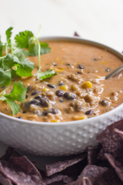 do-not-touch-my-food:  Chili Queso