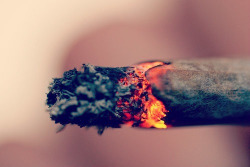 mar1ju-ana:  Smoke em We Heart It. 
