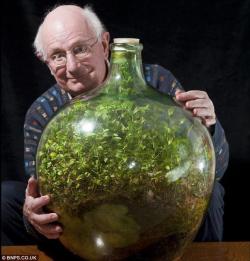 queer-punk:  gettingahealthybody:  trilliansthoughts:  This miniature ecosystem has been thriving in an almost completely isolated state for more than forty years. It has been watered just once in that time.The original single spiderwort plant has grown