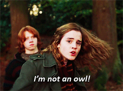 daleyprophet:  Hermione Granger not taking people’s bullshit 