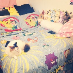 shy-town:  I love my bed <3  The post