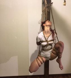 kirigamikinbaku:  Ropes kirigami, model tenshiko #bondage #ropes #Kinbaku #rope #shibari #milan #milano #tatami #redhair #redhead #hashira #ropetorture #tenshiko #kirigami #abbraccidicorde 🎋🎎www.abbraccidicorde.com