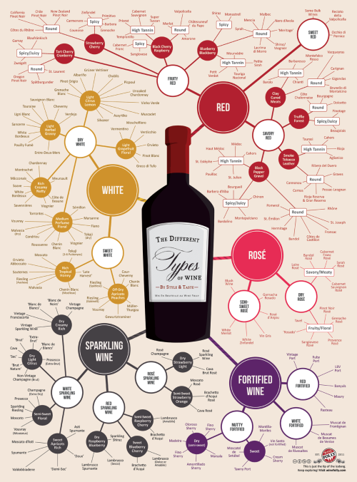 XXX The different types of Wine by style & photo