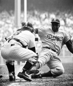 fetchitgirl:  A legend…and a Dodger.  Happy Birthday. vintagesportspictures:  Jackie Robinson (1955)   He lived in my town, right before he made it to the Big Leagues!  