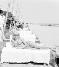 mabellonghetti:  Sue Lyon, wearing a a striped strapless bikini, portrayed while lying on Lido beach, Venice, 1962. (Photo by Archivio Cameraphoto Epoche/Getty Images) 