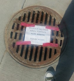 veggieblt:  So I was walking around campus and I found this on the sewer drain outside my dorm. 