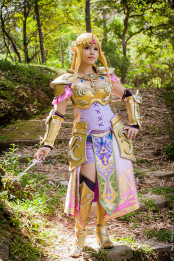 cosplayfanatics:  Queen Zelda from Hyrule Warriors by LayzeMichelle