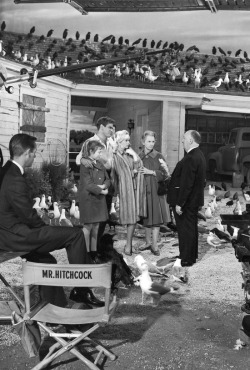 enmividasecreta:  Hithcock dando indicaciones en el set de “Los pájaros” (1963)  Hitchcock giving directions, on the set of The Birds(1963)