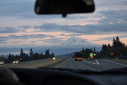 lovelylikeliver:  Mt Shasta from the backseat.