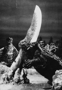kaijusaurus:  Miniature underwater props of Guiron and Gamera (and Space Gyaos, apparently); Gamera vs. Guiron (1969).   