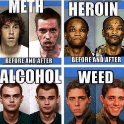Questions? Didn&rsquo;t think so. #420 #former #pothead say no to #drugs but not #weed though. #itsnotadrug