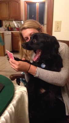 communistbakery:  smh this dog has a terrible poker face