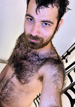 yummy1947:  I’ve admired this handsome black haired bear, who has an attractive beard, moustache and eyebrows, for a long time. He’s sprouted sexy hairy shoulders that merge with his magnificent hairy chest and he has luscious pitfur and a hot furrry