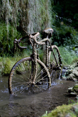 &ldquo;Petrified Stone Bike&rdquo; by Mick C (aug. 23, 2014)
