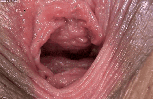 closeuporgasms:  The best and only close up orgasm blog, the blog will be high quality gifs of pulsating vaginal orgasms, vaginal and asshole contractions during orgasm and close up squirting. Follow and reblog. Click To Follow Click To Submit