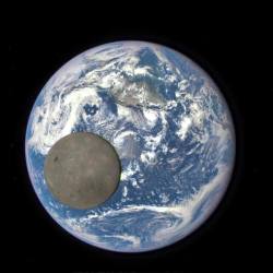 wintermoth:  determinedtomato:  sucymemebabaran:  coolthingoftheday:    The moon passed between ‪NASA‬’s Deep Space Climate Observatory and the Earth, allowing the satellite to capture this rare image of the moon’s far side in full sunlight. As