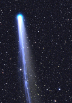 infinity-imagined:  Comet Lovejoy approaching the Sun, photographed on December 13th, 2013 by Gerald Rhemann. 