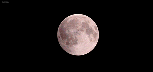 autremondeimagination:El fenómeno de la luna sangrienta.   Martes15 de abril del 2014   a las 2:30am  hora Colombiana.