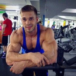 studstealer:  Saw this beauty in the gym, today. A living, breathing, perfect fucking ken doll.See, it’s not that hard finding a guy with muscles, especially when you go hunting for them in their natural habitat - the gym. There’s beefed up iron addicts