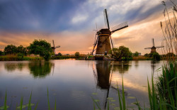 cityscapes:  Dutch windmill by Ray1968