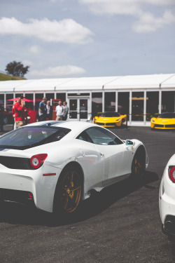 thephotoglife:  Speciale &amp; LaF x2