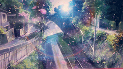tiny-hime-sama:“The speed at which the sakura blossom petals fall… Five centimeters per second..”