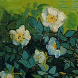 logija:  flowers by Vincent van Gogh (details)