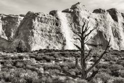 “Solitary”Arches National Park-jerrysEYES