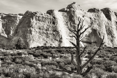 Porn Pics “Solitary”Arches National Park-jerrysEYES
