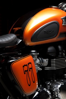 combustible-contraptions:  Triumph Bonneville | Tango Cafe Racer | Triumph - TMC 
