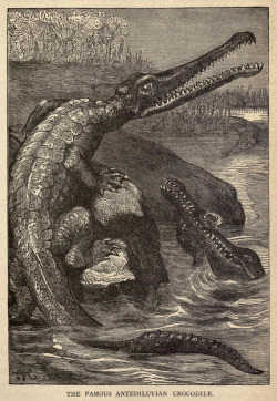 humanoidhistory:“THE FAMOUS ANTEDILUVIAN CROCODILE.” Illustrated in Earth, Sea and Sky, or Marvels of the Universe by Henry Davenport Northrop, circa 1887.