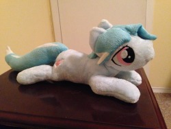 umbramist:  jaypone, christmas present for Umbra, waiting to be snugged extra when umbra gets here~  omg cute &lt;3