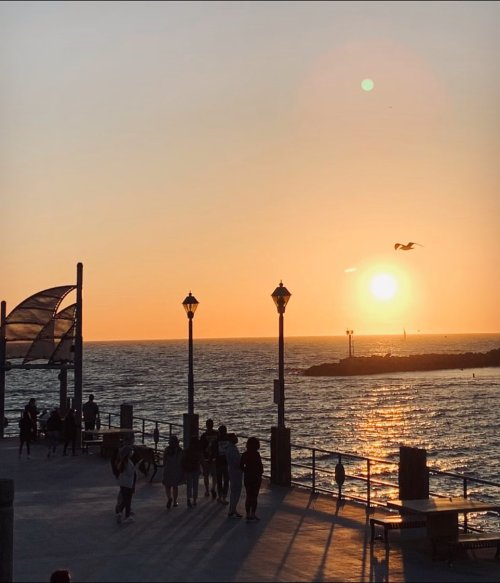 So Cal sunsets 🌅 #sunsets #redondobeachpier #sol #arena #mar #seagulls  https://www.instagram.com/p/CNEIQv0LKvt/?igshid=1njnmij6kdxln