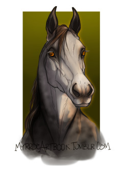 myrrdeartbook:  Colored one of the horse head studies.   * DeviantArt * Patreon * Facebook * Commissions * RedBubble *    