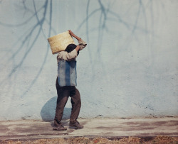 joeinct:  Untitled, Photo by Manuel Álvarez Bravo, 1966 
