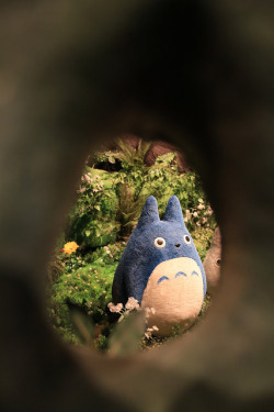 fuckyeahjapanandkorea:   (by Jnhuh)  You know what’s more magical than a Studio Ghibli anime? Seeing them brought to life. That’s exactly what is happening in South Korea.  The Studio Ghibli exhibit is being held at the I’Park Mall in Seoul until