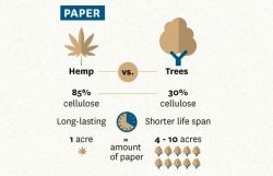 daywalker-sleeptalker:  textileconvo:  Advantages of hemp fibers…  HOLLA. The Cannabis Industry is going to be the next big thing.  
