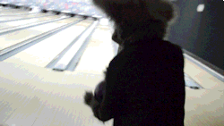 aceofheartsfox:Went bowling with sailorolive and ponyquest at one of our local meetups yesterday :3