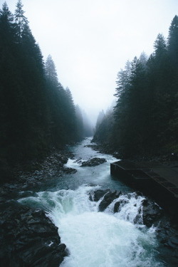 w-canvas:Foggy afternoons by Nick Carnera