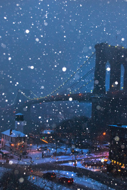 plasmatics-life:  Brooklyn Bridge Snow Globe - {by Jane Kratochvil}