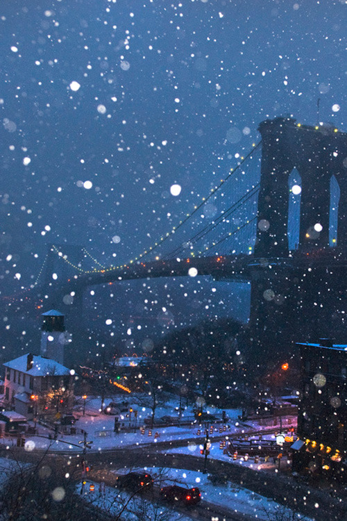 Porn plasmatics-life:  Brooklyn Bridge Snow Globe photos