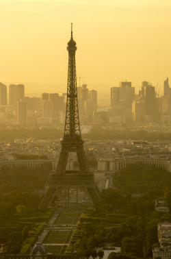 h4ilstorm:  Eiffel Tower (by Skocia)