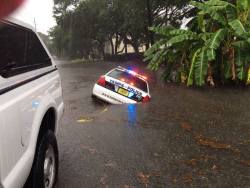 doritofu:  here we can see that Florida is actually a poorly written artificial data matrix, as evidenced by this poorly rendered police vehicle clipping through the environment due to similation processor loads being too high during the rainy season.