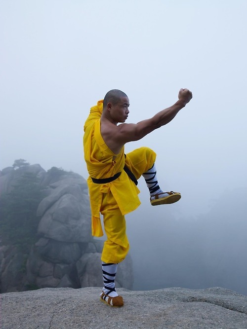 taichiclothinguniforms:  &ldquo;Hit&rdquo; is a prominent feature of Shaolin