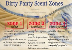 Pantyraider32:  Faggot53:  Source: Amber’s Nectar  Nice Panty Sniffing Guide! 