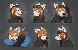 temiree:Expression sheet/telegram sticker commission for Anglo-Falcon on DeviantArt, featuring his red panda character Justin! Expressions in order: Friendly, shy, flirty, asleep, sad and focused! :)
