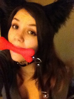 shewoof:  Throwback to nearly a year ago, first picture I ever took with my bone gag. My my how I’ve changed!   LOOK AT THIS CUTE PUPPER. LOOK AT HER