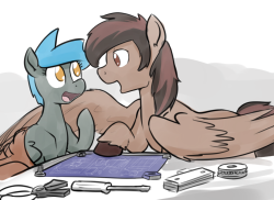 whatisapokemon:  Cute fixer horses discussing fixer-horse related things! Character belongs to @downhillcarver   ^w^!