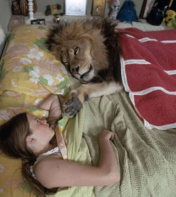 mybooksnow:  innocenttmaan:  After a trip to Africa, actress Tippi Hedren, her husband Noel Marshall, and their actress daughter Melanie Griffith, wanted to make a movie about lions. At the advice of Ron Oxley, an animal trainer who said that “to get