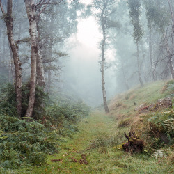 wanderthewood:  Bole Hill Quarry, Derbyshire, England by AlastairRoss  magical, seriously